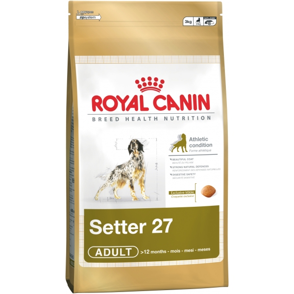 Royal Canin Setter